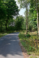 Wanderweg am Basaltblockmeer in der Rhön bei Hilders, Hessen, Deutschland