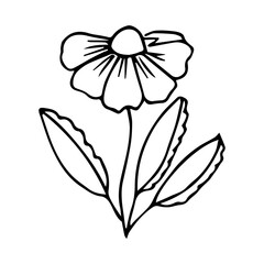 Obraz premium hand drawn botanical flower doodle element for floral design concept
