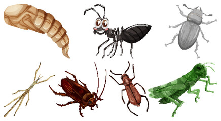 Set of different kinds of insects