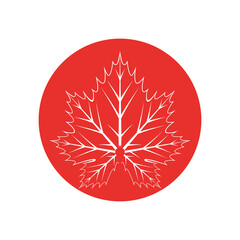 Maple leaf logo Template vector icon illustration design