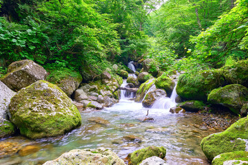 山形県大峠トンネル付近の紅葉と滝