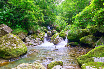 山形県大峠トンネル付近の紅葉と滝