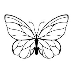 Butterfly Silhouette