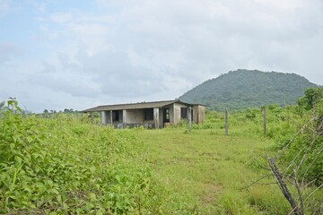 Beautiful landscape near pune, maharashtra