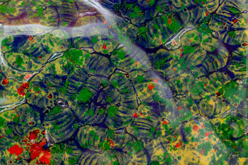 abstract colorful stained glass texture