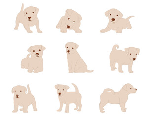 Vector illustration. Isolated vector gray dog on a white background.  Cute baby dog. Love dog, cartoon pet dogs.