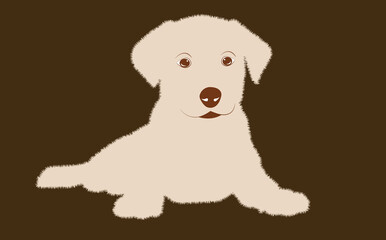 Cute light gray puppy.  Vector illustration of dog breed set in flat style.  Vector illustration isolated on brown background,Cute dog. Love dog, cartoon pet dogs. cartoon funny dogs