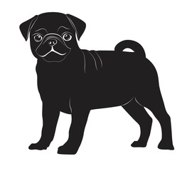 Black Pug dog. Dog healthy silhouette and poses background. Vector illustration. Flat style dogs collection. Cartoon dogs breeds set. Illustration isolated