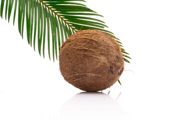 Coconut with leaves on white background