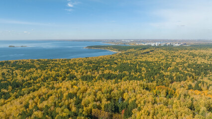 Fototapeta na wymiar Landscape of autumn forest and sea. Beautiful autumn colors. Aerial view 