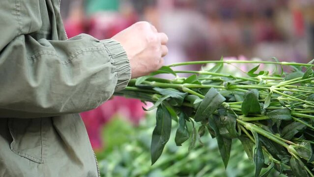 close up of seller's hand removing leaves on a bunch of flowers at Kunming Dounan Flower Market, Yunnan,China