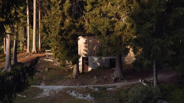 Nature Retrait, Rural Chalet Cottage Property and its Backyard in Forest Switzerland, Path Trail Trees and Wild Landscape Around