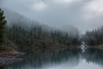 Mountain creek flows from forest hills into glacial lake in mysterious fog. Small river and coniferous trees reflected in calm alpine lake in early morning. Tranquil misty scenery with mountain lake.