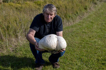 The man with the giant puffer (Calvatia gigantea)  Puffball mushroom commonly found in meadows,...