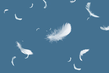 Abstract Group of White Bird Feathers Floating on A Blue Background.	
