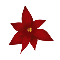 red flower illustration.
