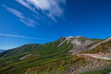 乗鞍岳位ヶ原の紅葉