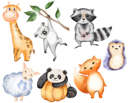 Watercolor. Cute colored watercolor animals. Baby style for newborn cards, photo album and calendar