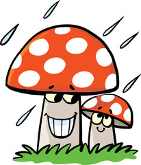 two mushrooms in the rain