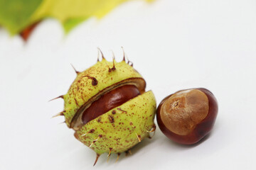 Chestnuts in the peel and without it lie on the table