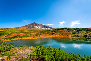 秋の北海道・大雪山の旭岳で見た、池の周りを彩る紅葉や緑の植物と快晴の青空
