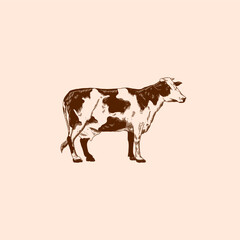 cross hactching hand drawing cow