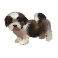 cavalier king charles spaniel