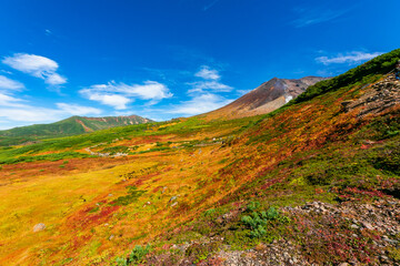 秋の北海道・大雪山の旭岳で見た、山の斜面に広がるカラフルな紅葉と快晴の青空