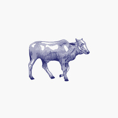 vintage engraving cow  logo