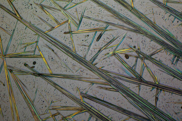 Crystals of substance caffein made by microscope in polarized light