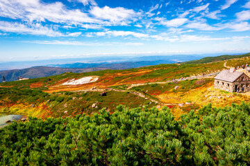 Fototapeta na wymiar 秋の北海道・大雪山の旭岳で見た、カラフルな紅葉や緑の植物と快晴の青空