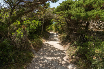 Fototapeta na wymiar The path along beautiful cliffs of Bonifacio on a sunny summer day. Southern Corse, France.