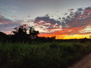 atardecer campo