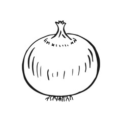 Onion outline. Hand drawn vector illustration. Farm market product, isolated vegetable.