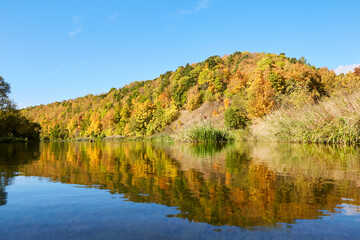 reflection in the water