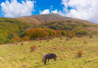 Monti della Laga (Italy) - High peaks in the mountain range Monti della Laga, Lazio and Abruzzo region, named Pizzo di Sevo and Cima Lepri, over 2400 meters, during autumn foliage.