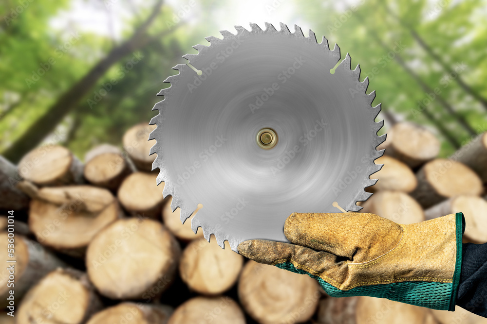 Poster carpenter with protective work gloves holding a metal circular saw blade, in motion. stack of a larg