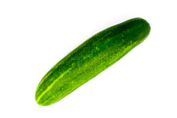 Fresh green cucumber on white background 