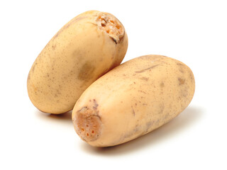 Lotus root on the white background