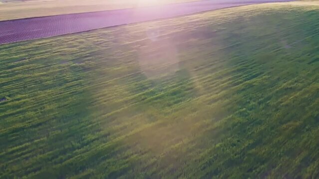 Windmill in Countryside of Spain, Revealing Drone Shot of Wind Turbines at Sunset