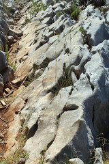 stream in the mountains
