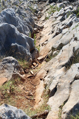 stream in the mountains