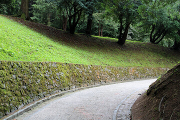 road in the park