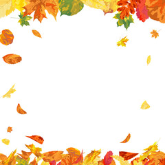 Autumn Leaves Background