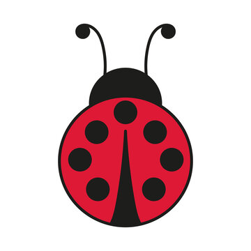 vector ladybug icon, red ladybug, bug on white background isolated