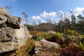 Forest path in the Etroitures rock. Fontainebleau forest