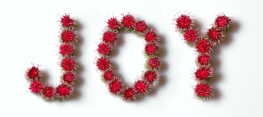 The inscription of the word joy is collected from flowers on a white background