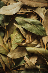 Shot of a bunch of laurel leaves which are used to flavor meals