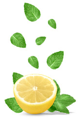 Half a lemon and levitating mint leaves.