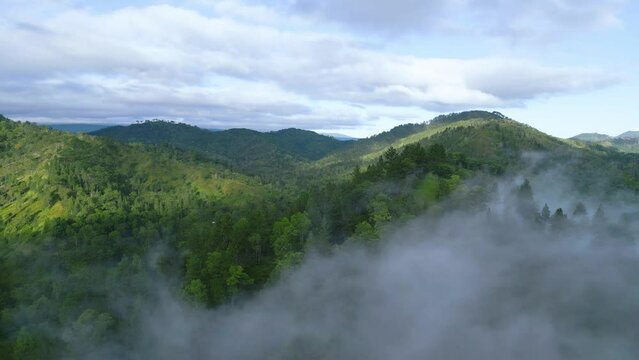 A cinematic reveal shot of large forest in Malaybalay Bukidnon Philippines